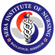 Picture of SEBA Institute of Nursing